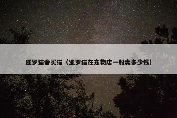 暹罗猫舍买猫（暹罗猫在宠物店一般卖多少钱）