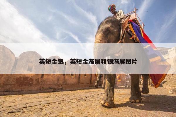英短金银，英短金渐层和银渐层图片