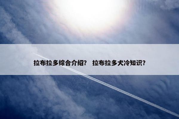 拉布拉多综合介绍？ 拉布拉多犬冷知识？