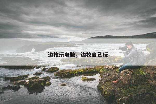 边牧玩电脑，边牧自己玩