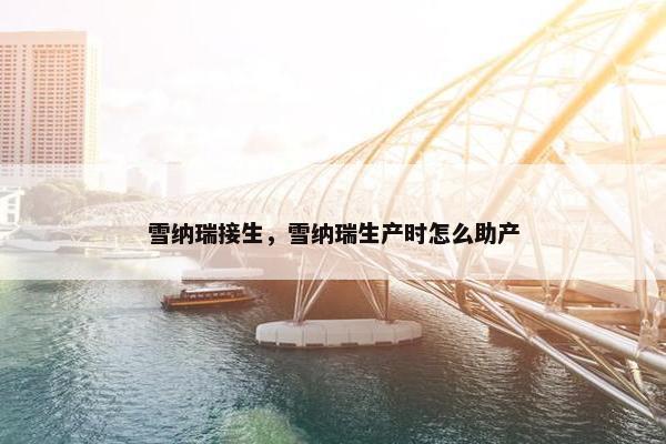 雪纳瑞接生，雪纳瑞生产时怎么助产