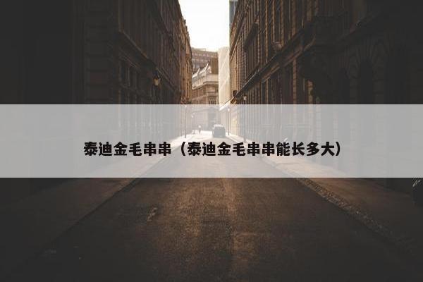 泰迪金毛串串（泰迪金毛串串能长多大）