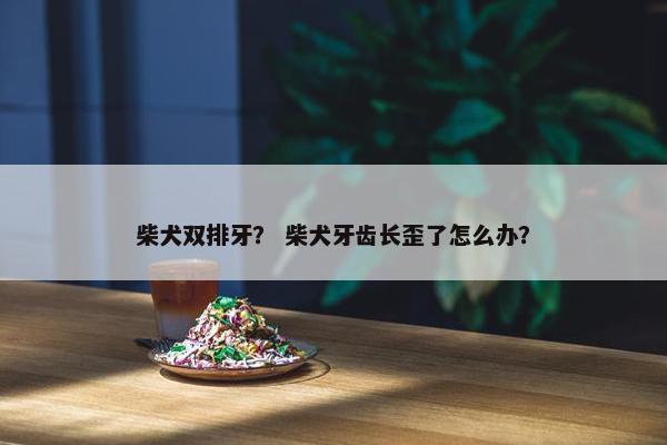 柴犬双排牙？ 柴犬牙齿长歪了怎么办？