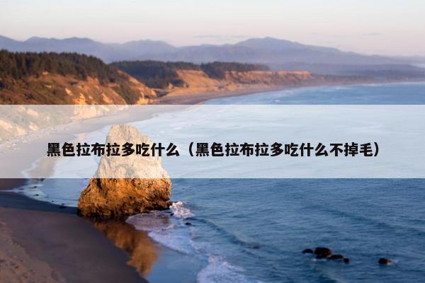 黑色拉布拉多吃什么（黑色拉布拉多吃什么不掉毛）