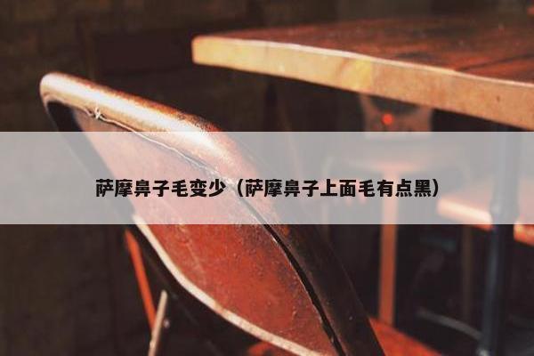 萨摩鼻子毛变少（萨摩鼻子上面毛有点黑）