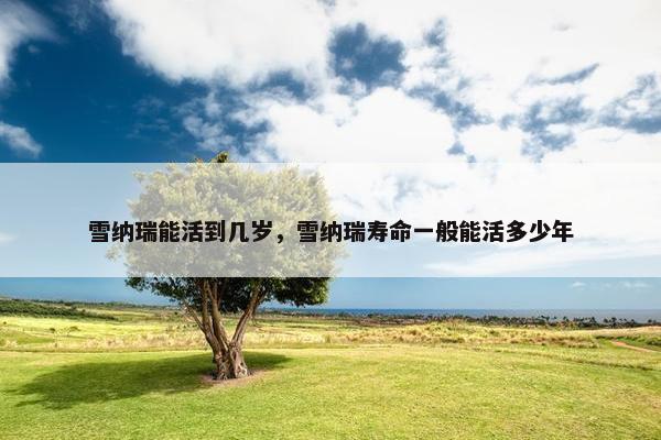 雪纳瑞能活到几岁，雪纳瑞寿命一般能活多少年