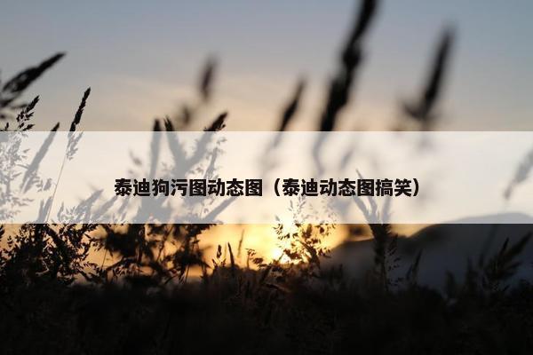泰迪狗污图动态图（泰迪动态图搞笑）