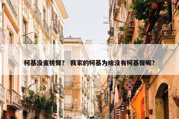 柯基没蜜桃臀？ 我家的柯基为啥没有柯基臀呢？